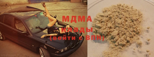 прущие грибы Дмитровск