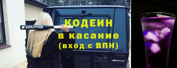 прущие грибы Дмитровск