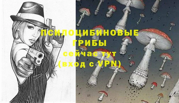 прущие грибы Дмитровск
