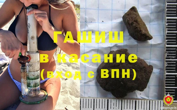 прущие грибы Дмитровск