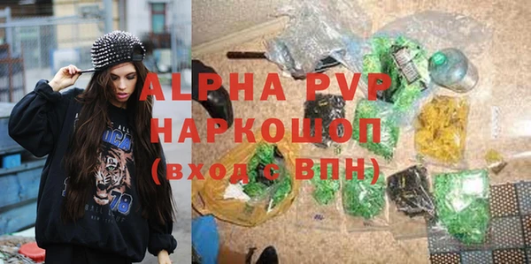 прущие грибы Дмитровск