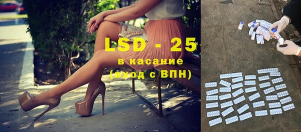прущие грибы Дмитровск