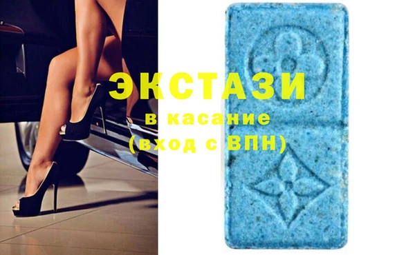 прущие грибы Дмитровск