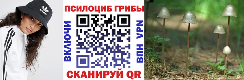 Галлюциногенные грибы Magic Shrooms  Пикалёво 
